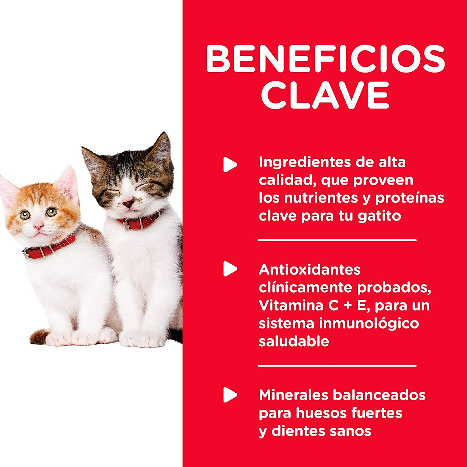 Hills Kitten Alimento húmedo para Gatito Hills Kitten Alimento húmedo para Gatito